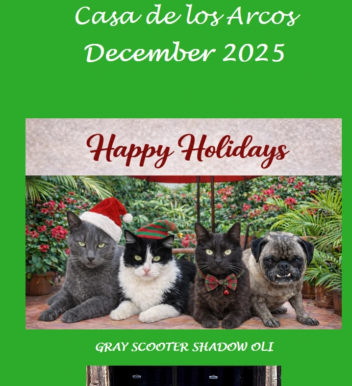 december 2025 Casa de los Arcos